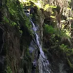 Le Petit Kichon Gérardmer