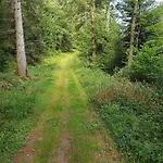 Le Petit Kichon Gérardmer