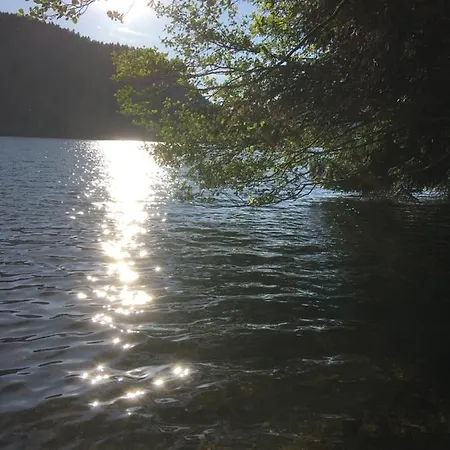 Le Petit Kichon * Gérardmer