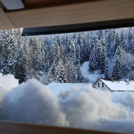 Le Petit Kichon Apartment Gerardmer