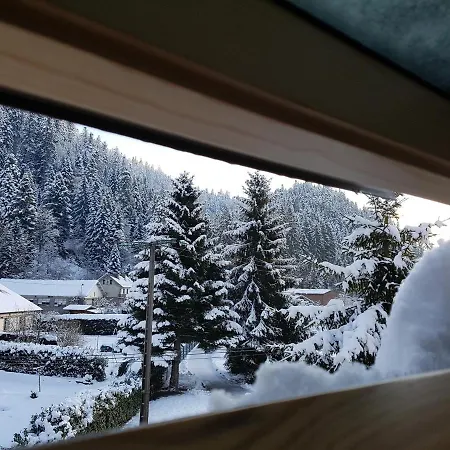 Le Petit Kichon Apartment Gerardmer