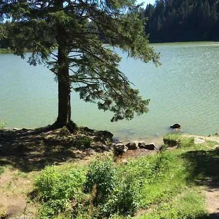 Apartman Le Petit Kichon