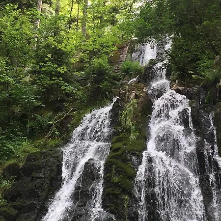 Le Petit Kichon Apartman