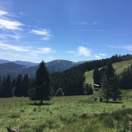 Apartment Le Petit Kichon Gerardmer