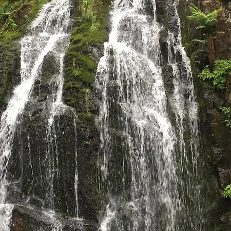 Le Petit Kichon Apartman