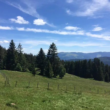 Le Petit Kichon Apartman