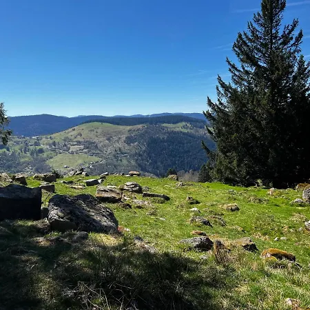 Le Petit Kichon Apartman *