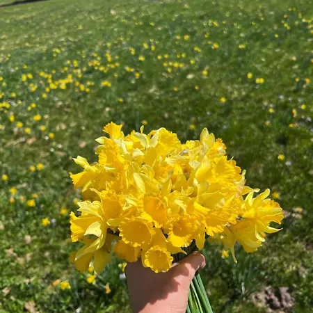 Le Petit Kichon Gérardmer