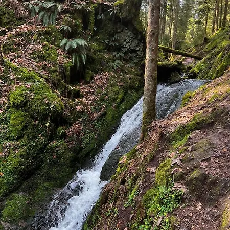 Le Petit Kichon Apartament Gérardmer