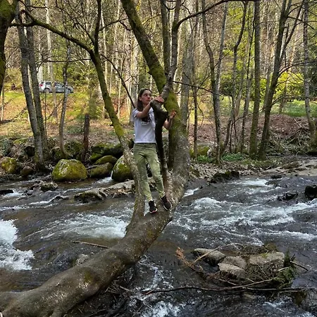 Le Petit Kichon Apartman Gérardmer