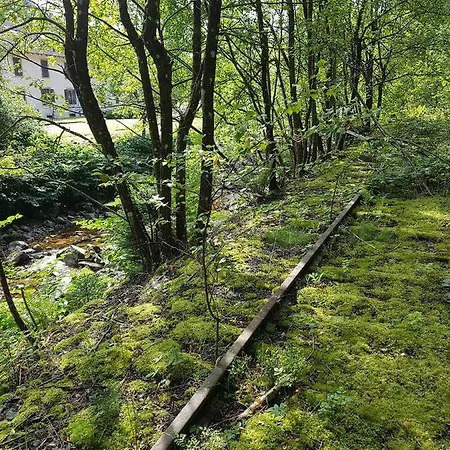 Le Petit Kichon Apartament Gérardmer