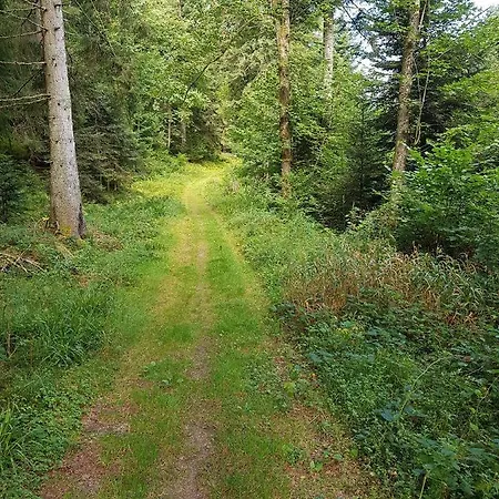 Le Petit Kichon Gerardmer