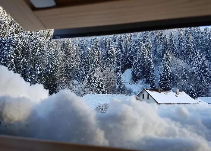 Le Petit Kichon Appartement Gérardmer