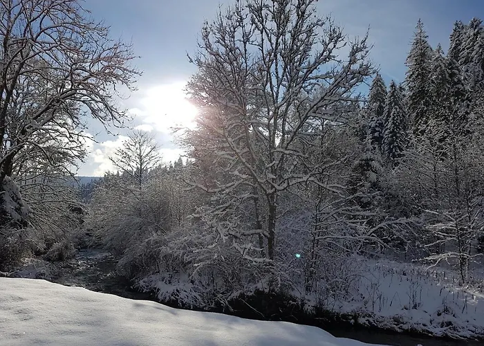 Le Petit Kichon Apartmán Gérardmer