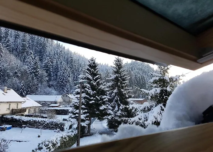 Le Petit Kichon Apartmán Gérardmer