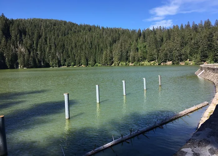 Le Petit Kichon Gérardmer