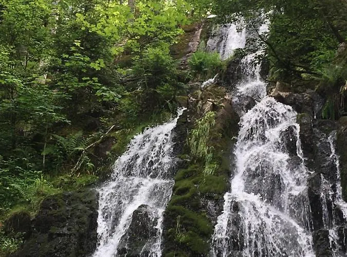 Le Petit Kichon Apartmán