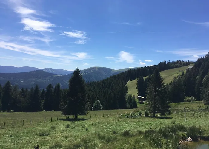 Apartmán Le Petit Kichon Gérardmer