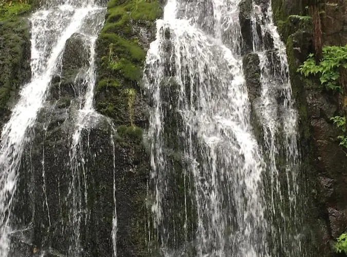 Le Petit Kichon Apartmán