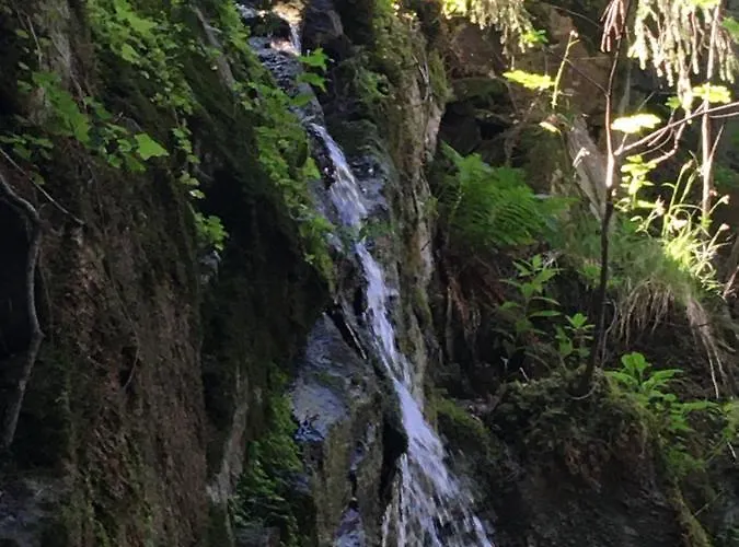 Le Petit Kichon Gérardmer