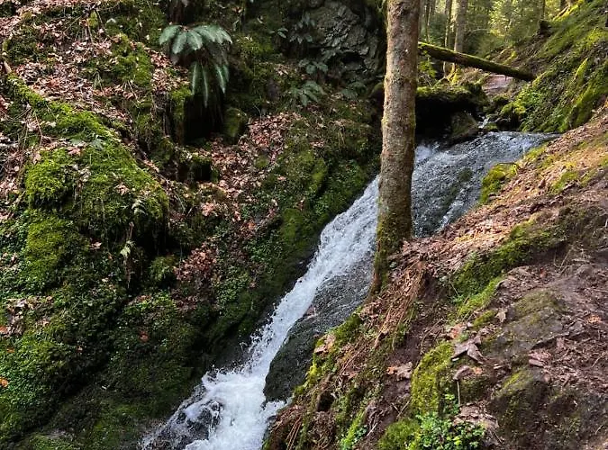 Le Petit Kichon Apartmán Gérardmer