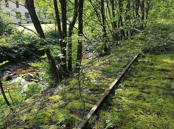 Le Petit Kichon Apartmán Gérardmer