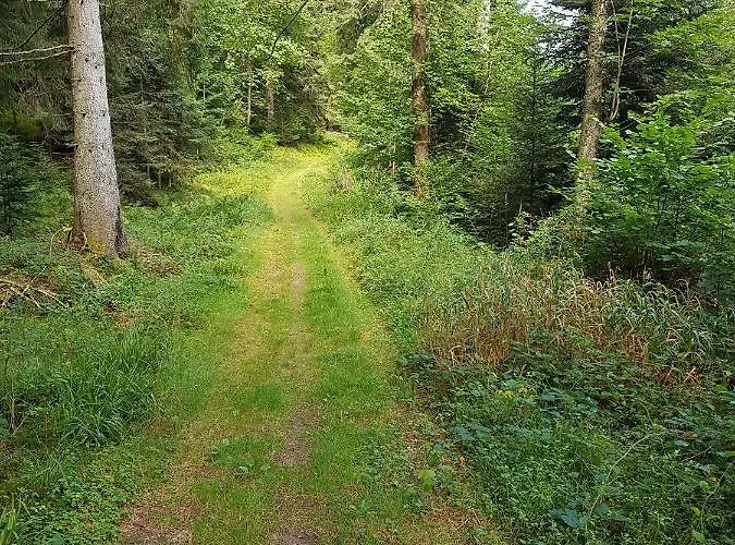 Le Petit Kichon Gérardmer